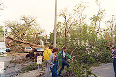 Bronson Park, 13 May 1980