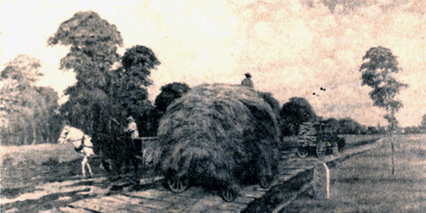 Depiction of a Plank Road, 1954
