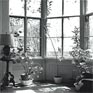Octagon House - window