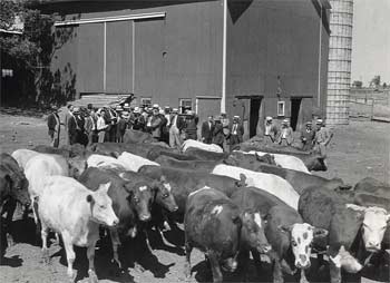 Upjohn Richland Farms