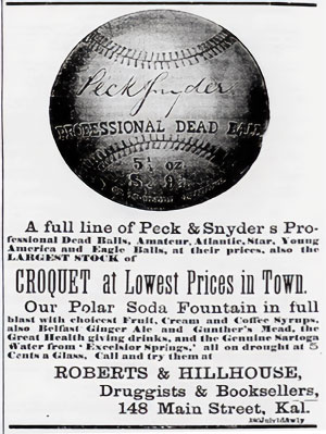 kal-telegraph-1876-07-22-p1-300