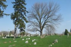 maple-grove-view-240