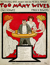 too-many-wives-cover-160.jpg