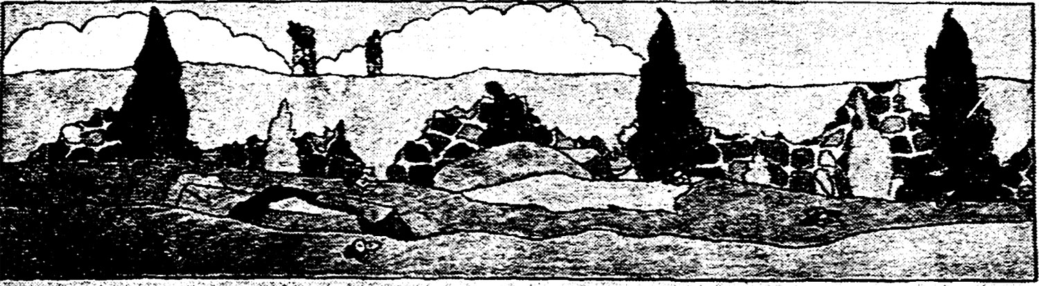 Dale LaVercombe's design