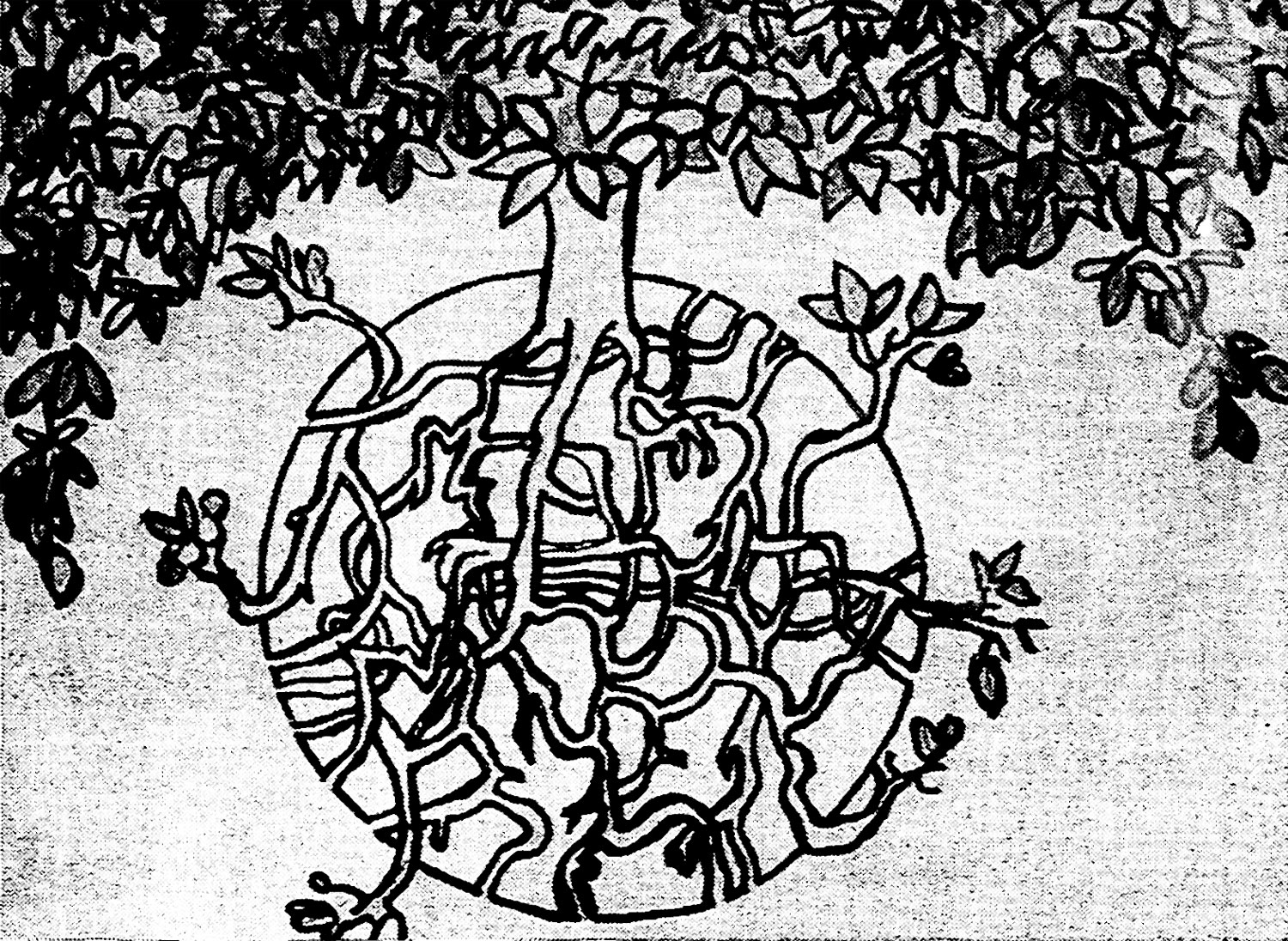 Jan Stella's design