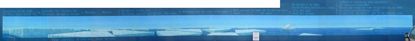 Polar Loneliness