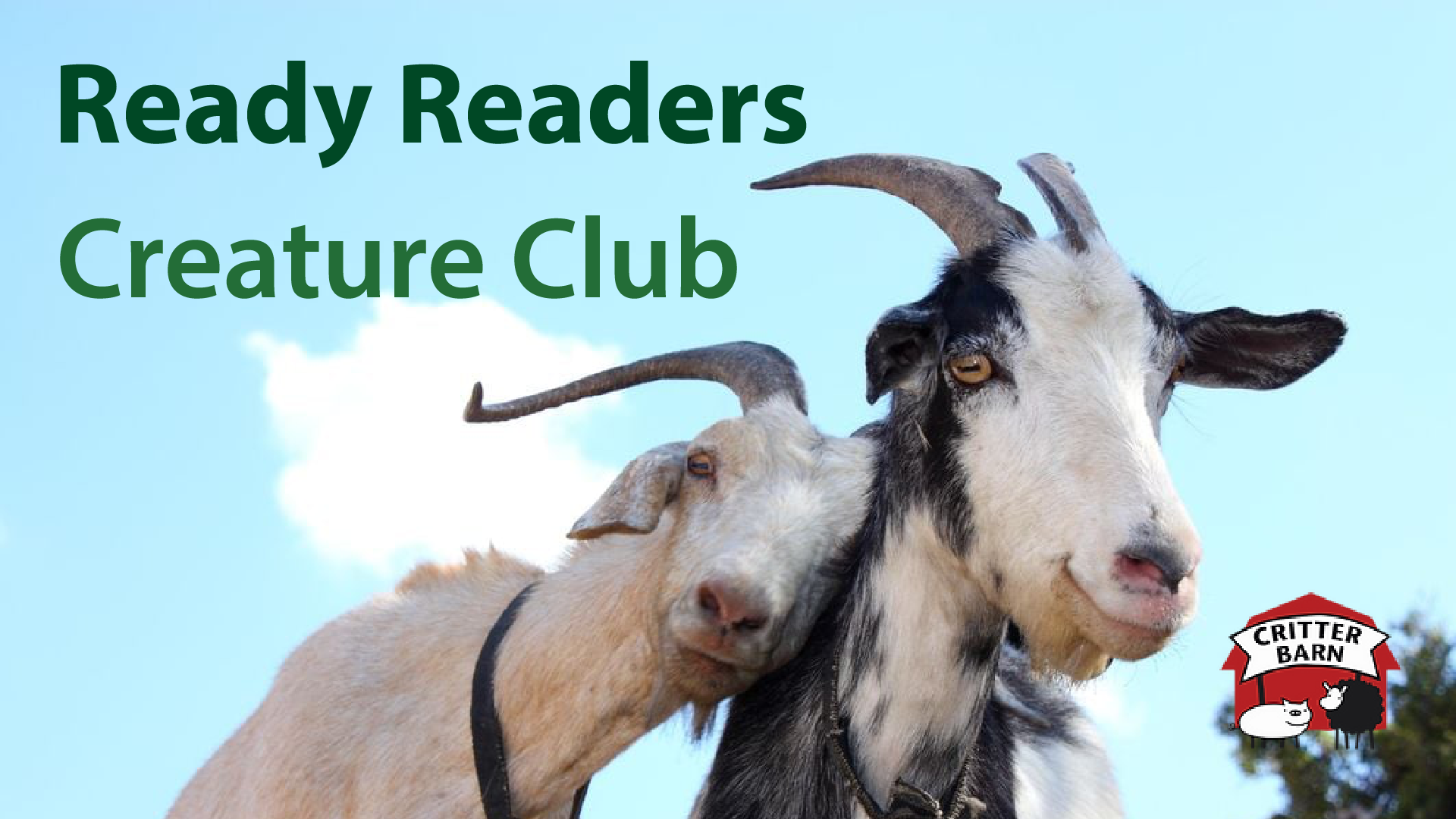 Ready Readers Creature Club