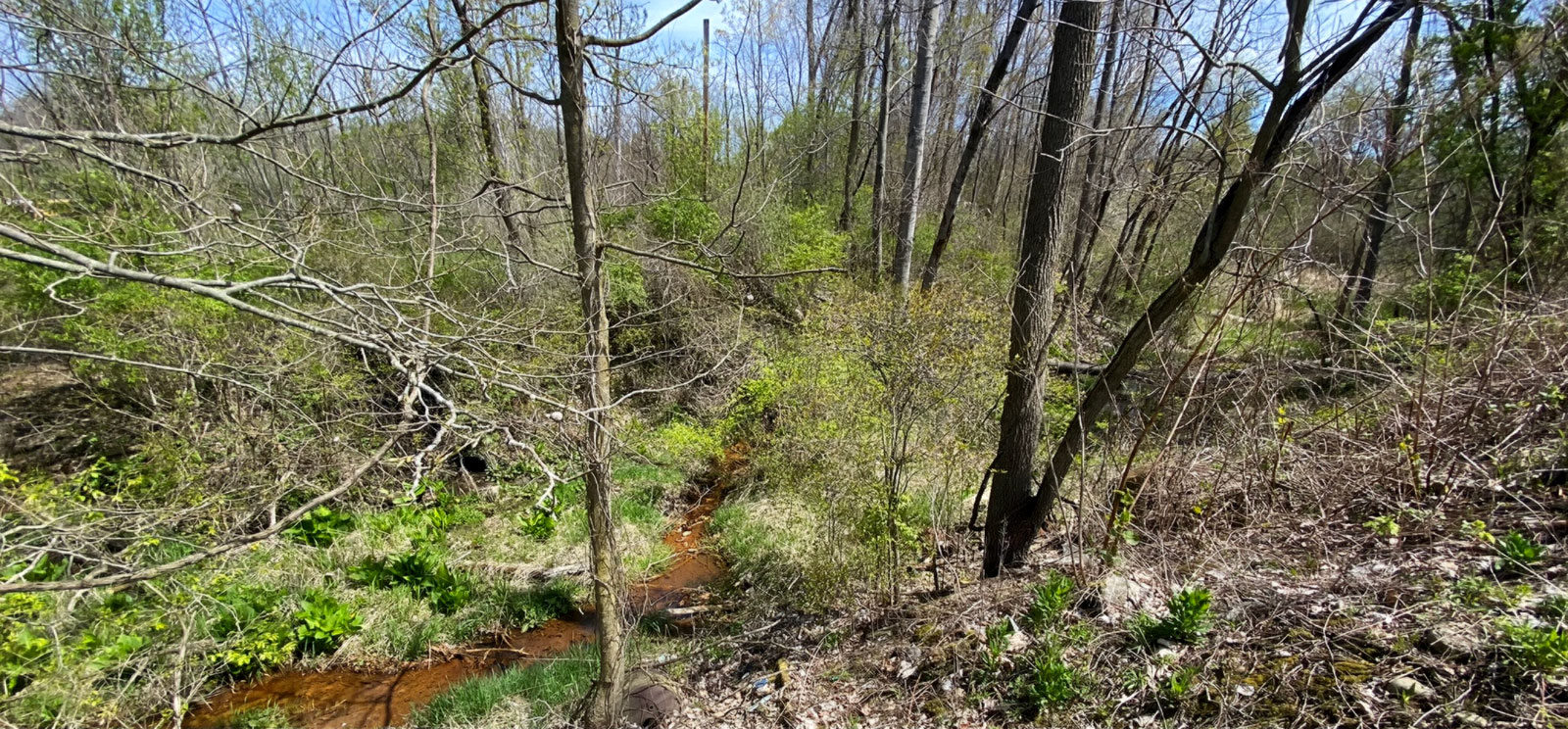 mill-site-and-creek-2024-1600.jpg