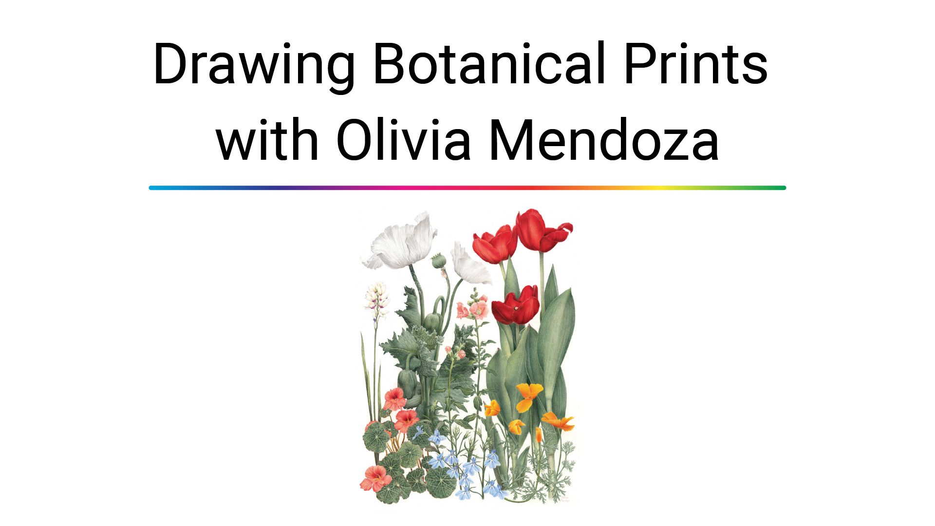 drawing botanical prints with olivia mendoza