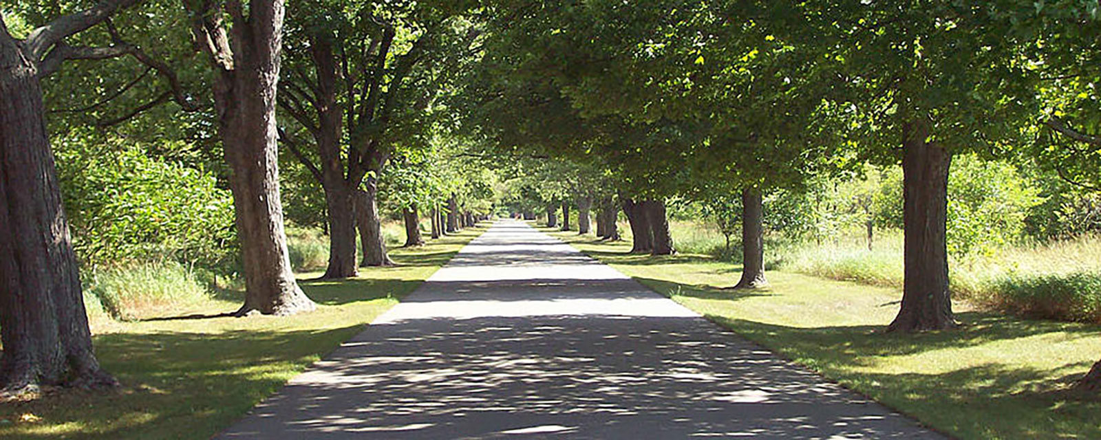 River-Oaks-entrance-drive-Kalamazoo-County-Parks-Department-1600.jpg