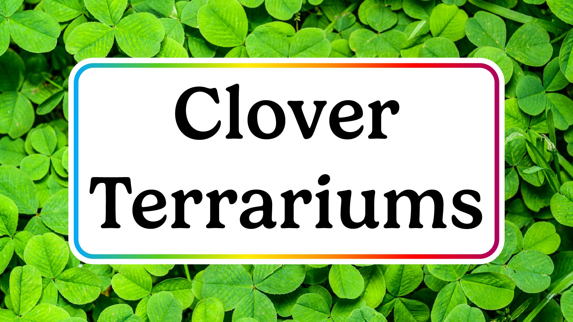 clover terrariums