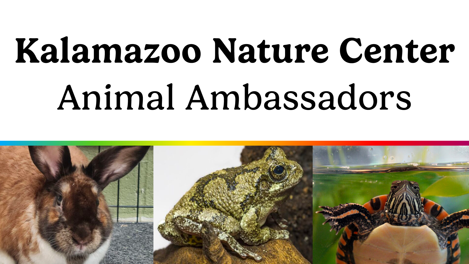 kalamazoo nature center animal ambassadors