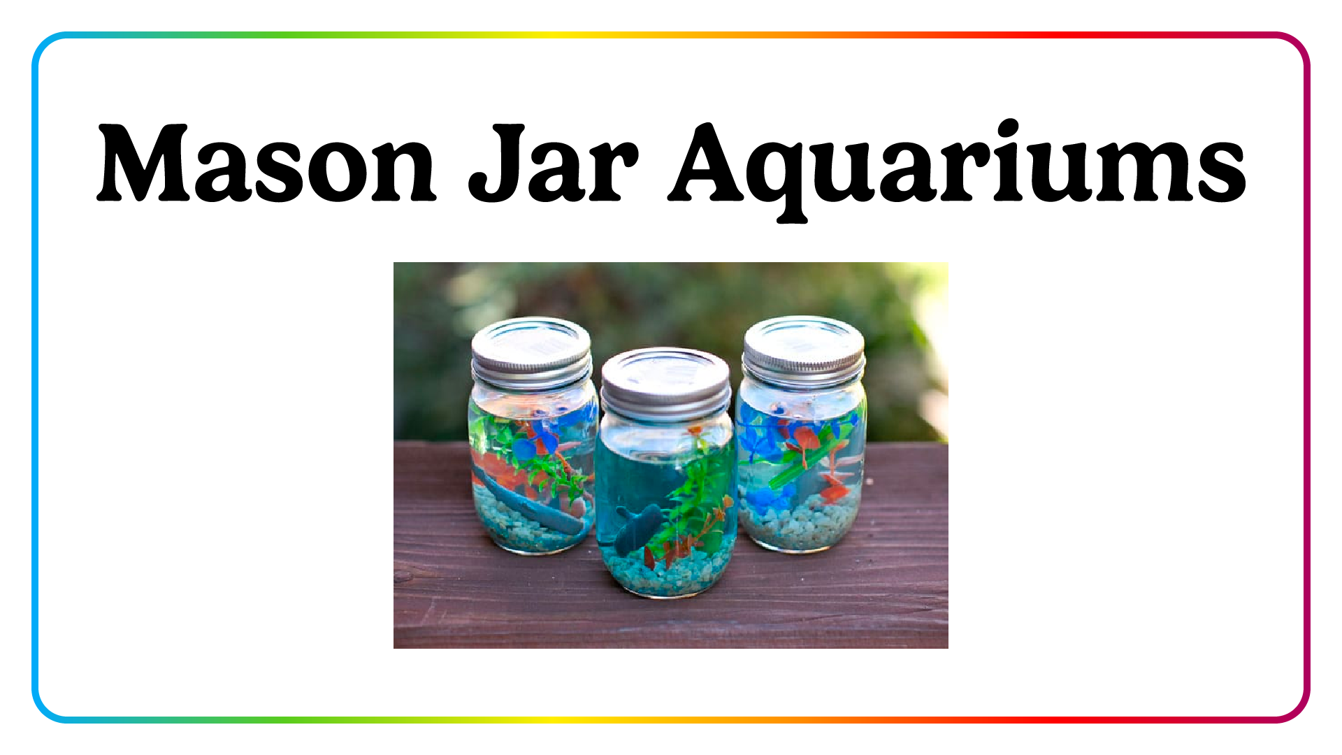 mason jar aquariums