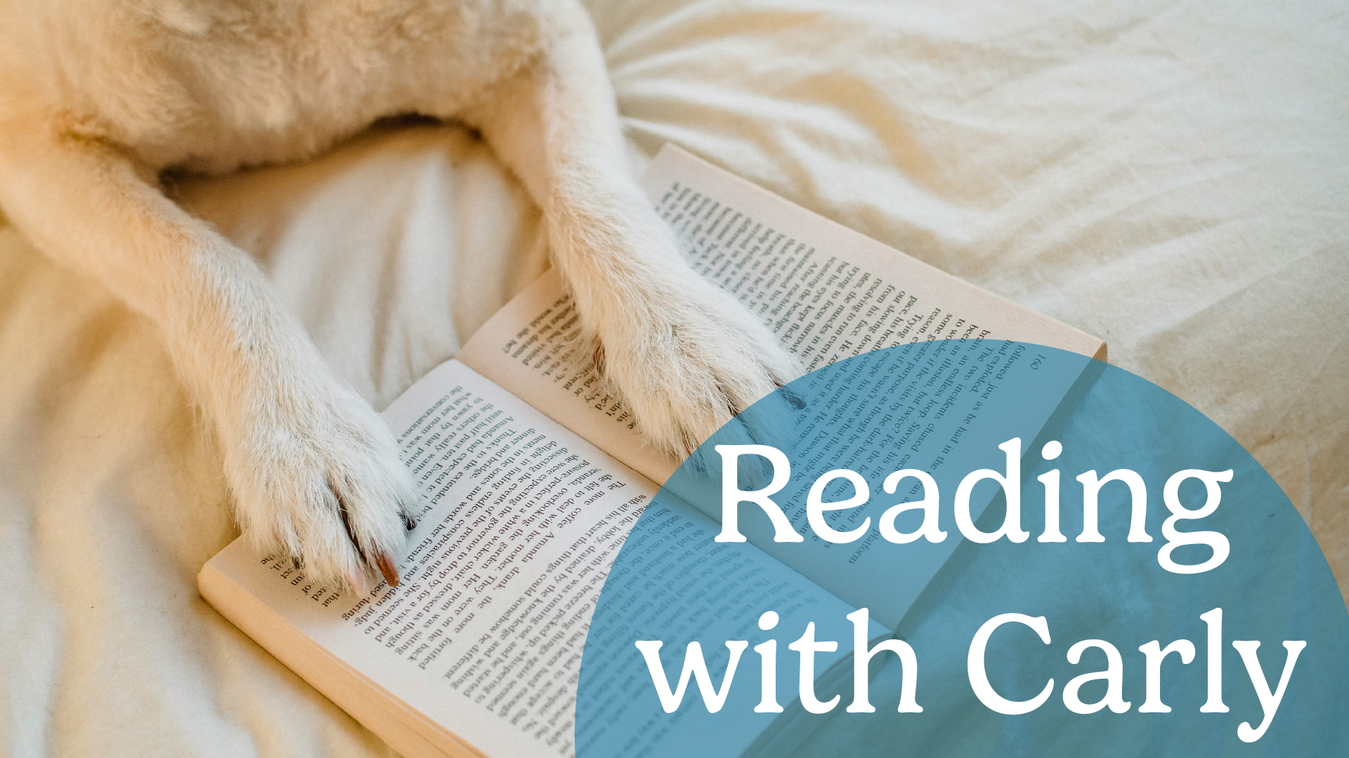 reading with carly, the therapy dog.