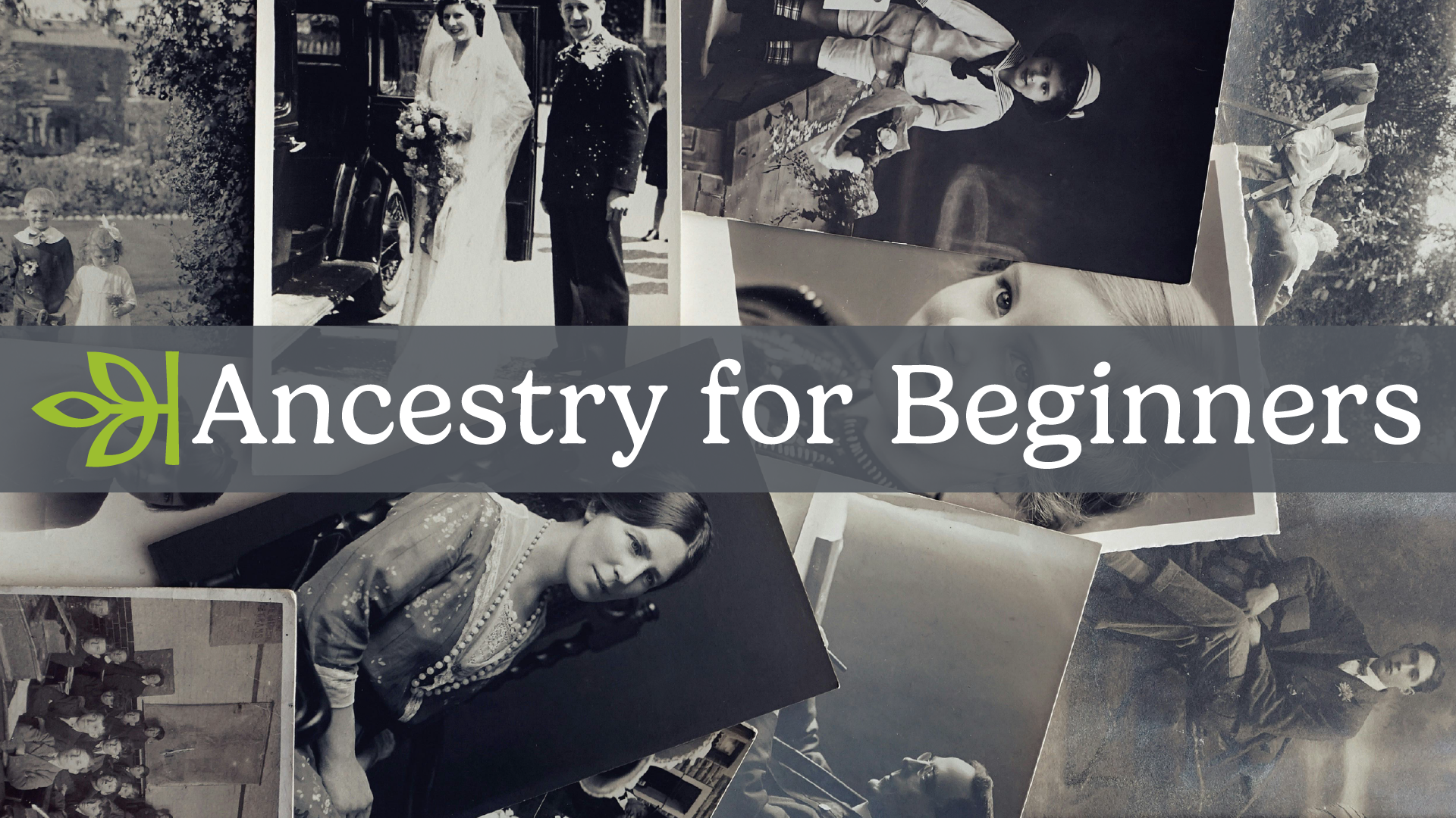 ancestry for beginners