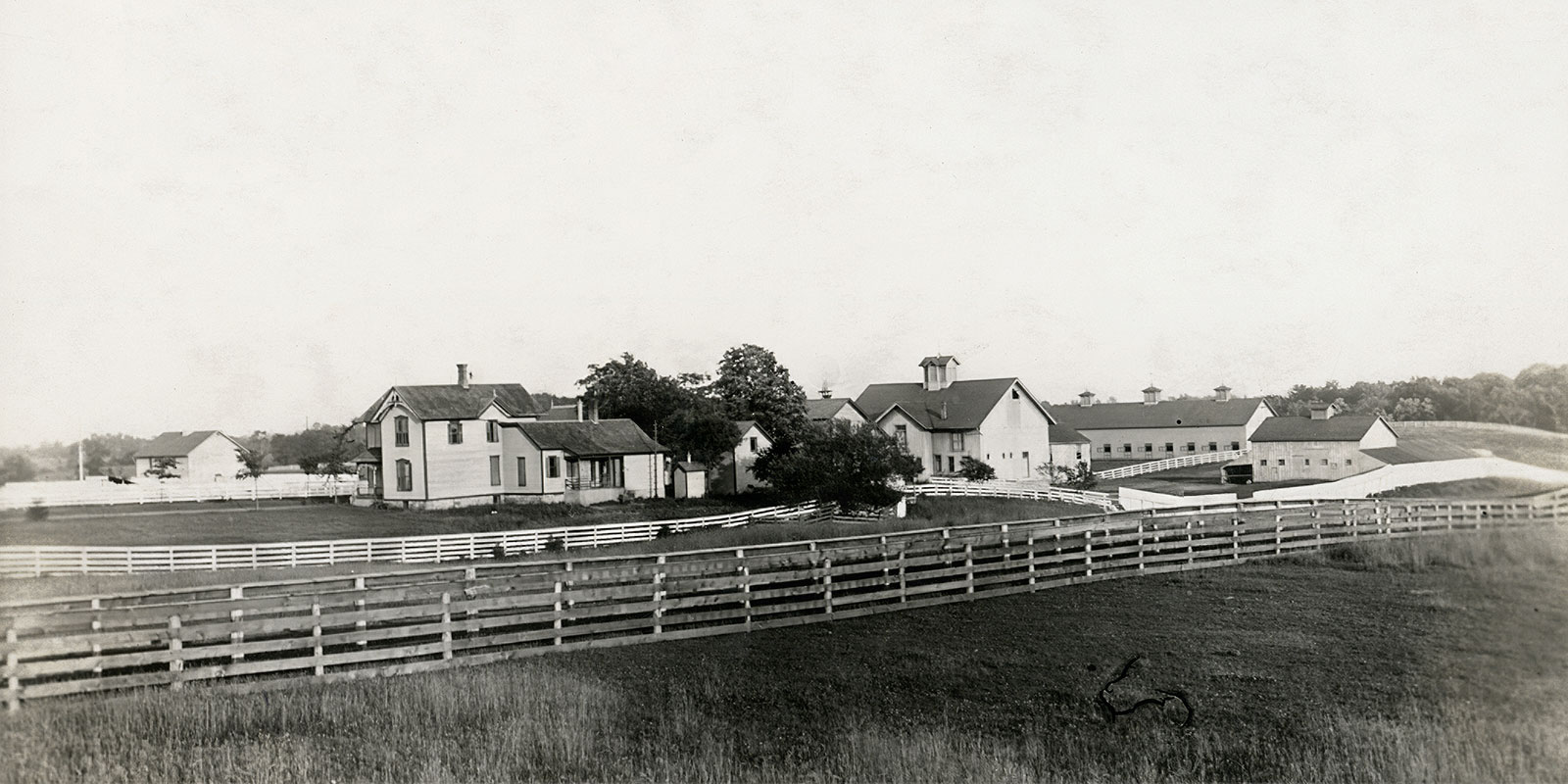 browne-farm-p-1020-1600.jpg