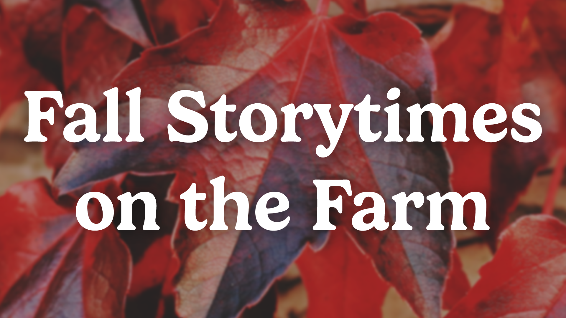 fall storytimes on the farm