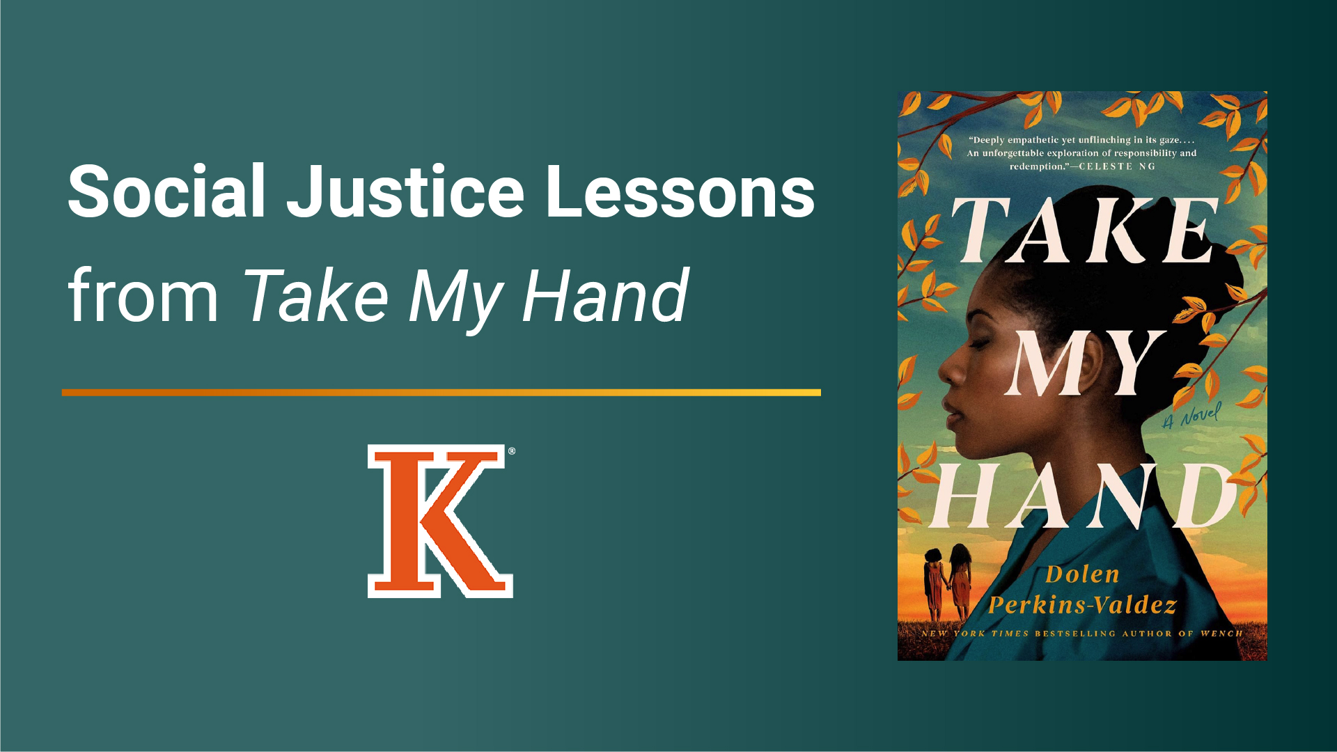 social justice lessons from take my hand