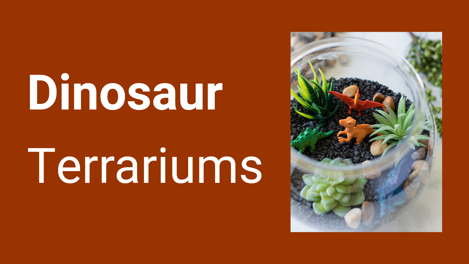 Dinosaur Terrariums