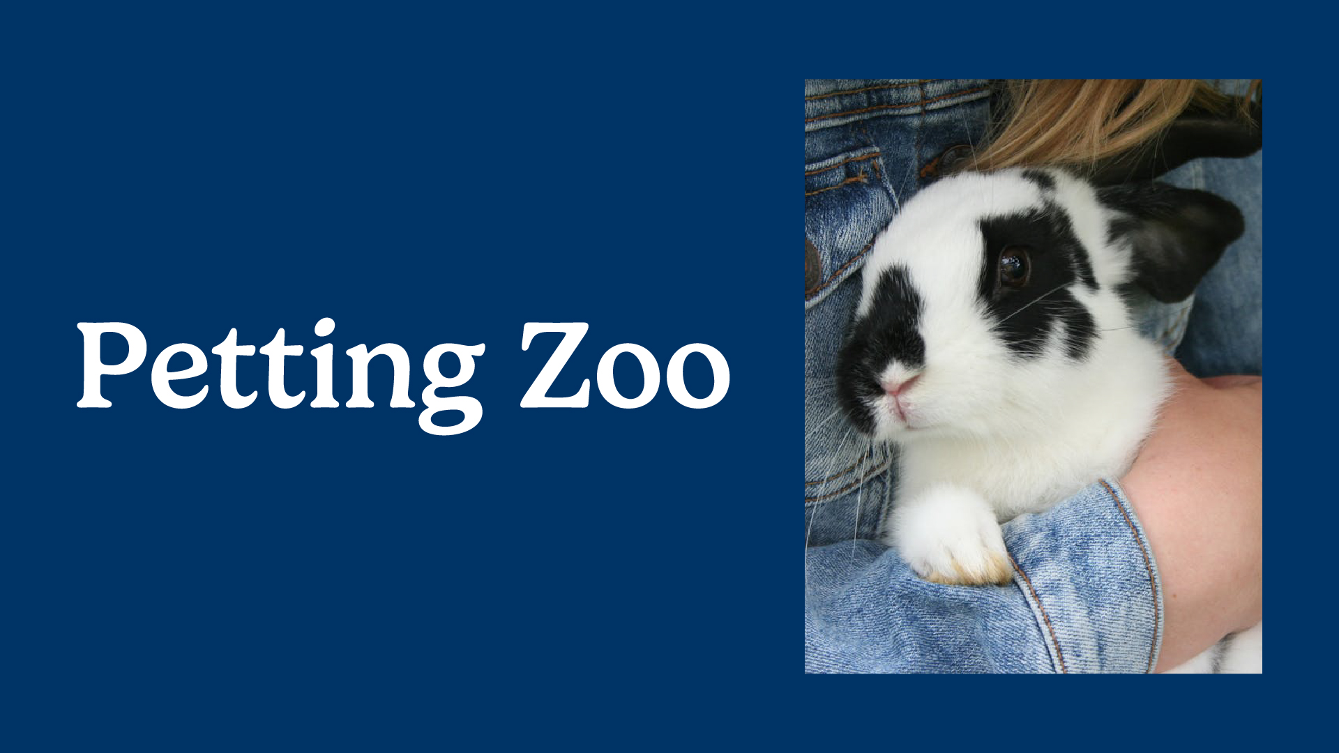 petting zoo
