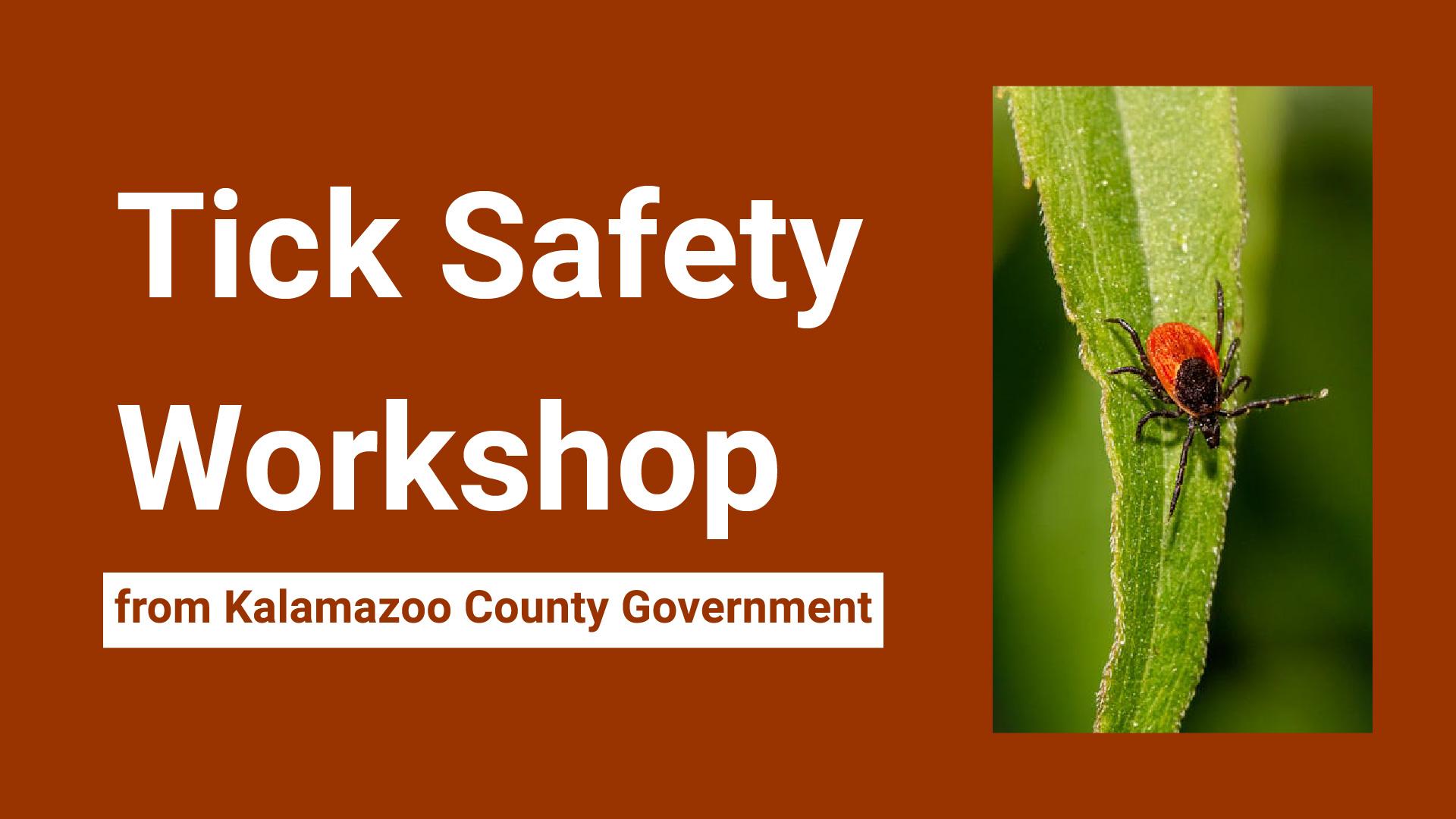 tick safety workshop from kalamazoo county government